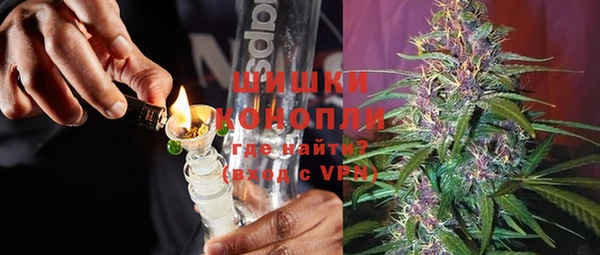 дживик Вязьма
