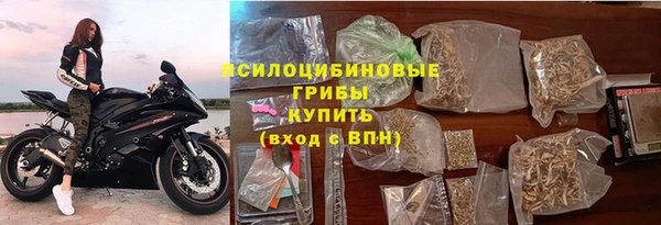 дживик Вязьма