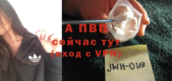 дживик Вязьма