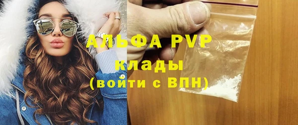 дживик Вязьма