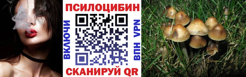 Галлюциногенные грибы прущие грибы  Купить где  Когалым 